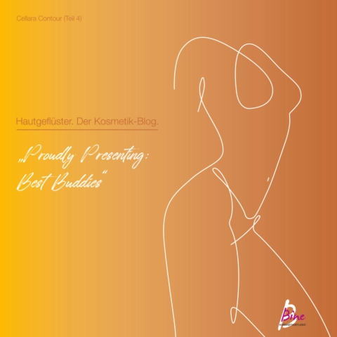 Blog Hautgeflüster - Cellara Contour © lumitar - stock.adobe.com