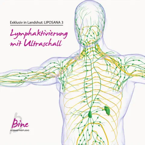 Lymphaktivierung mit Ultraschall - Foto © mybox - stock.adobe.com
