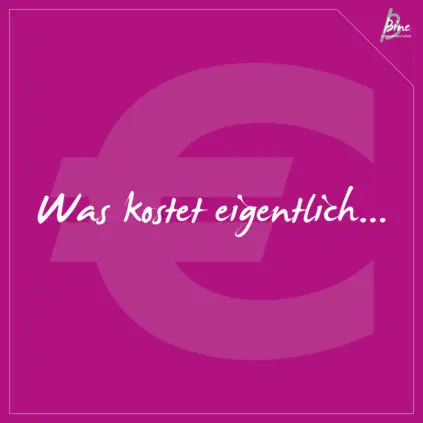 Blog "Was kostet eigentlich" - Grafik: peppUP.de