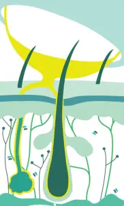 Foto © Linea / Infuzion